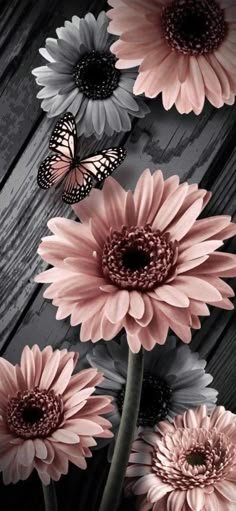 some pink flowers and a butterfly on a wooden surface