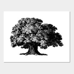 simple tree drawing -- Choose from our vast selection of art prints and posters to match with your desired size to make the perfect print or poster. Pick your favorite: Movies, TV Shows, Art, and so much more! Available in mini, small, medium, large, and extra-large depending on the design. For men, women, and children. Perfect for decoration. Simple Tree Drawing, Simple Tree, Tree Drawing, Tree Wall, Extra Large, Favorite Movies, Tv Shows, Art Print, For Men