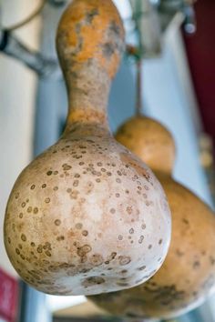 two gourds hanging from the ceiling in a room with other things on it