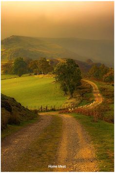 a dirt road in the middle of a lush green field