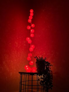 a red light shines on a table with a potted plant next to it