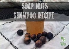 Soap Nuts Shampoo Recipe- easy and natural Shampoo Recipe, Wellness Mama, Natural Beauty Recipes