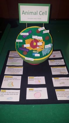 an animal cell is displayed on a table with information about the cells and their functions