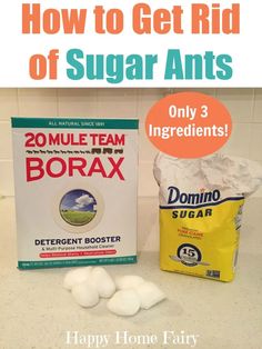 how to get rid of sugar antis on the counter top with ingredients for baking