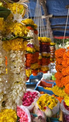 many different flowers are hanging from the ceiling