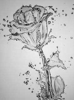 a black and white photo of a rose with water splashing off it's petals