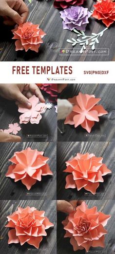 how to make paper flowers that look like they have been folded in different colors and sizes