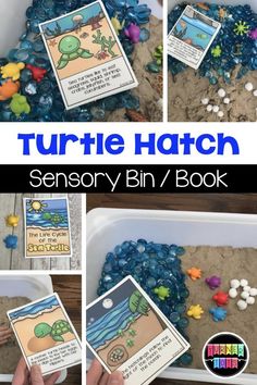 the turtle hatch activity is an easy and fun way to learn how to use it