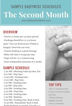 a baby's hand holding its mother's hand with the text sample schedule