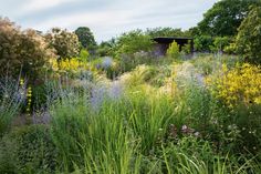 the garden is full of colorful flowers and plants, including wildflowers in bloom