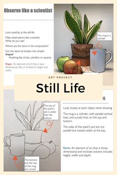 an article about still life with pictures of plants and coffee mugs on the table