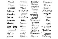 the different types of calligraphy written in cursive writing, including english and spanish