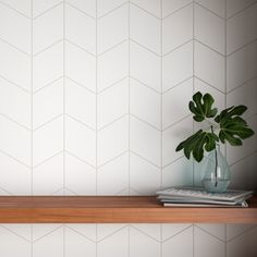 a potted plant sitting on top of a wooden shelf