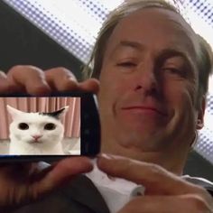 a man taking a photo with his cell phone of a white cat in front of him