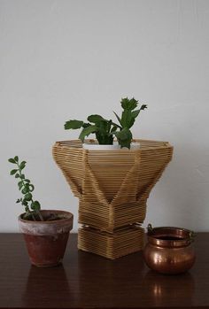 two pots with plants in them sit on a table next to each other and one pot has a plant growing out of it