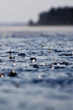 black and white photo of water with small drops on it, taken from the ground