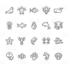 sea animals and marine life line icons