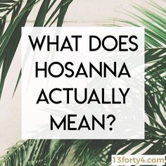 a palm tree with the words what does hosanna actually mean?