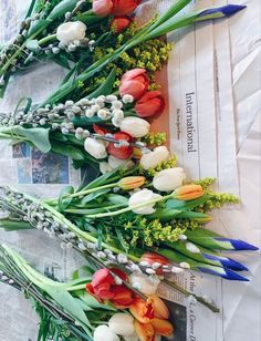 flowers laid out on top of newspaper with blue and red stems in the middle, along with white and orange tulips