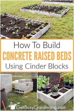 how to build concrete raised beds using cinder blocks in the garden with text overlay that reads, how to build concrete raised beds using cinder blocks