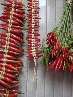 red peppers are hanging on the wall next to each other, with green stems in between them