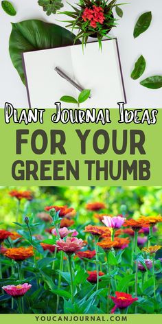 flowers and plants with text overlay that reads plant journal ideas for your green thumb