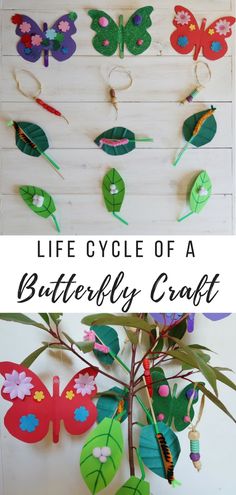 the life cycle of a butterfly craft for kids to make with paper leaves and scissors