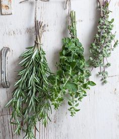 herbs are hanging on a clothes line