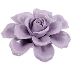 a purple flower is shown on a white background