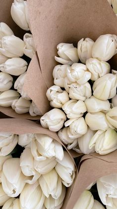 a bunch of white flowers sitting on top of each other