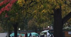 several tents set up in the middle of a park