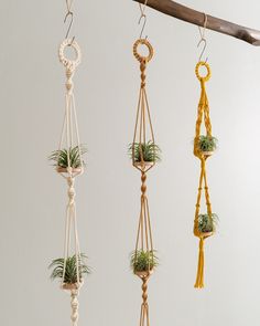 three macrame plant hangers with plants in them hanging from a wooden pole