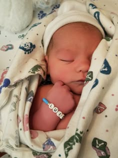 a newborn baby wrapped in a blanket next to a stuffed animal