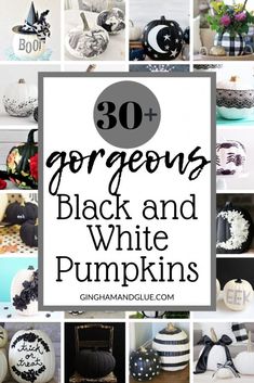 black and white pumpkins with text overlay that reads 30 gorgeous black and white pumpkins