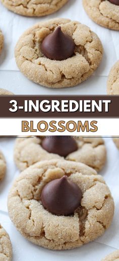 chocolate chip cookies with the words 3 - ingredient blossoms in front of them on a white background