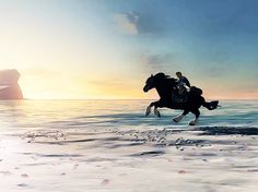 a horse and rider galloping on the beach at sunset