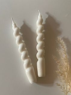 two candles sitting next to each other on top of a white surface with dried plants