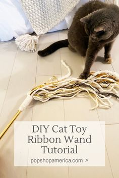 a cat sitting on the floor next to a pile of yarn and a crochet hook