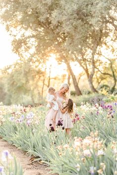 Family Of 3 Photography, Photography Family Poses, Wildflower Photoshoot, Garden California, Photoshoot Lights, Photoshoot Flowers, California Flowers, Garden Photoshoot