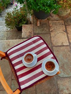 two cups of coffee sitting on top of a red and white table cloth next to potted plants