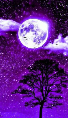 a purple sky with stars and a tree