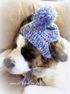 a dog wearing a knitted hat laying on a couch