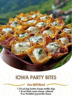 a hand holding a plate of food with the words iowa party bites written below it