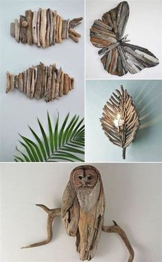 four pictures of different types of driftwood and some leaves on the wall, including an owl