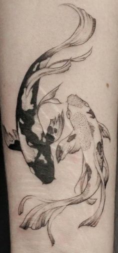 a black and white koi fish tattoo on the arm