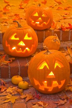 three carved pumpkins sitting on the ground with leaves around them