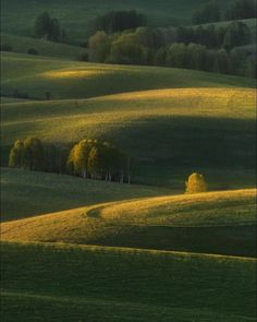 an open field with trees in the distance and green grass on the other side, at sunset