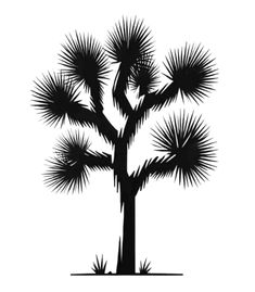 a black and white silhouette of a joshua tree