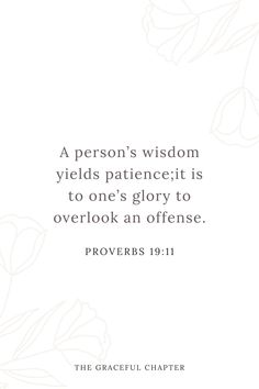 a person's vision yields patient it is to one's glory to overlook an offense provers 19 11