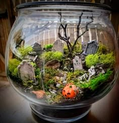 a glass bowl filled with plants and rocks